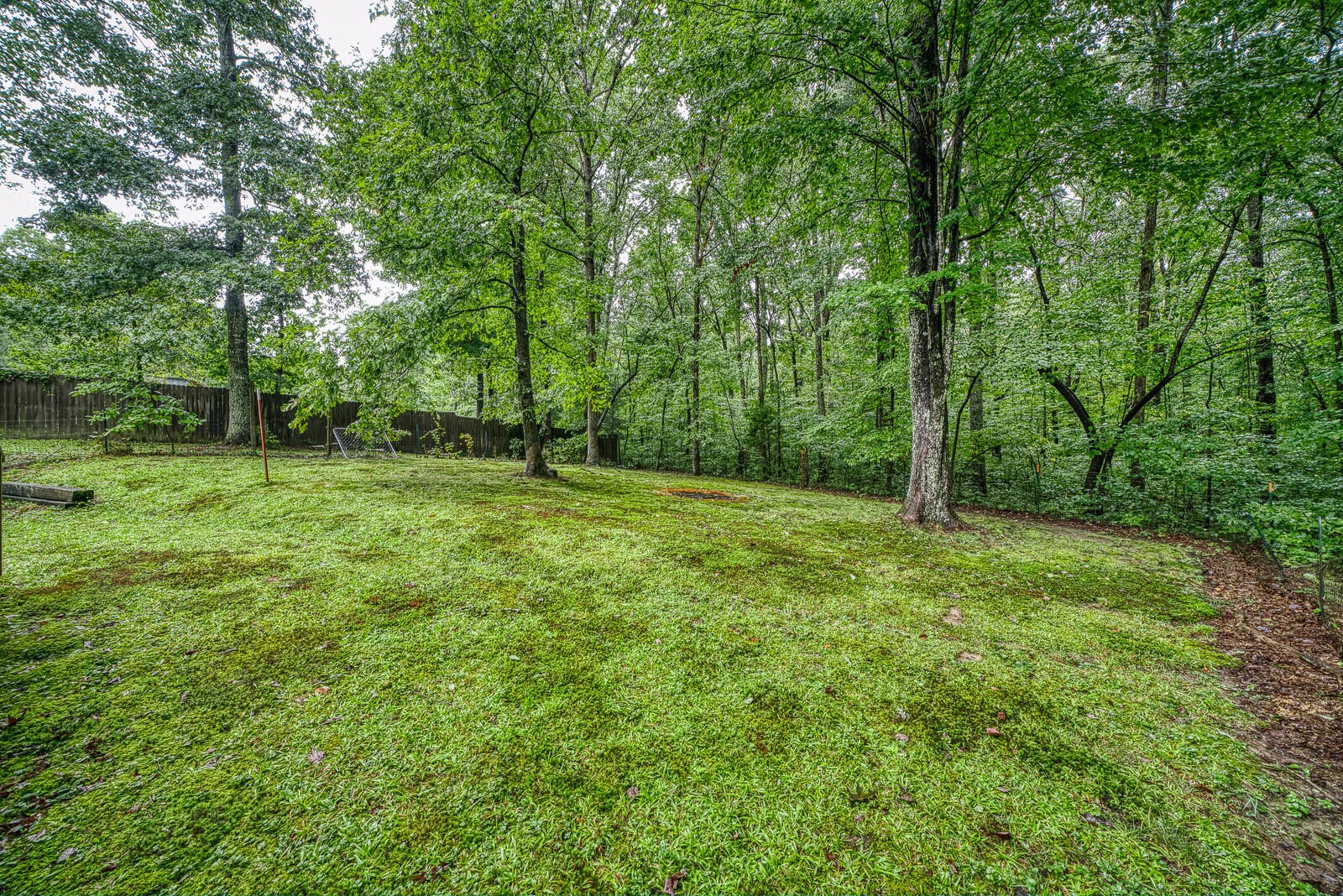 135 Joe Voiles Road Jamestown, TN 38556 - Photo 10 of 36 Gallery Image 10