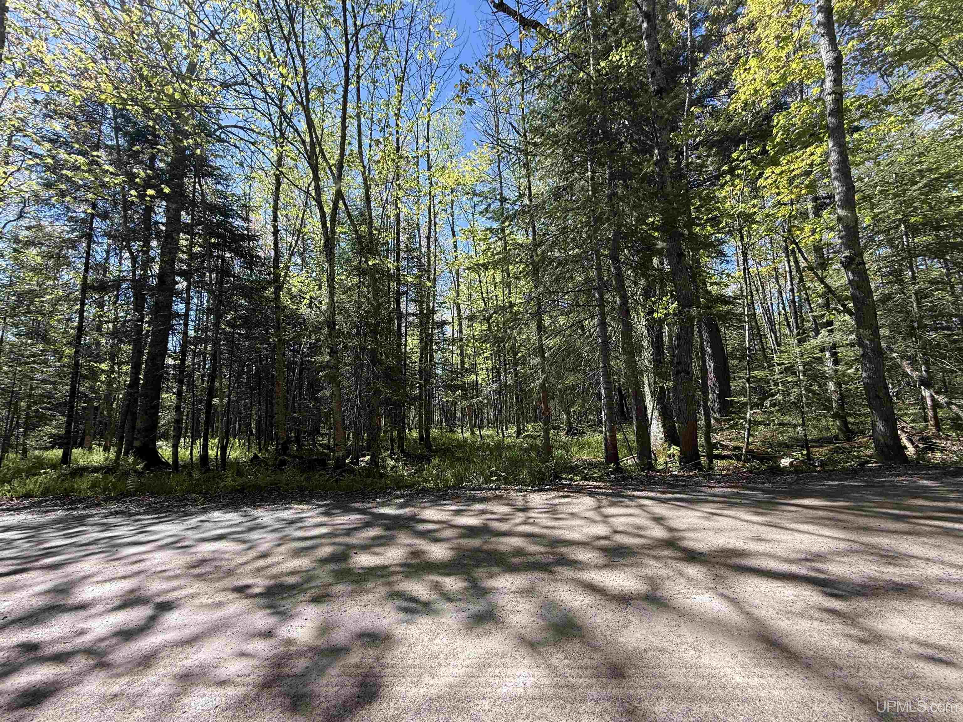 Langford Lake Road Watersmeet, MI 49969 - Photo 18 of 23