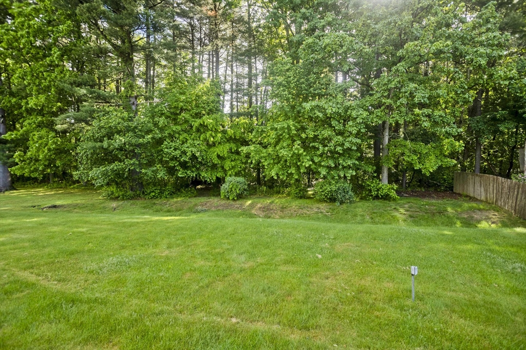 276 Spikenard Circle Springfield, MA 01129 - Photo 35 of 39