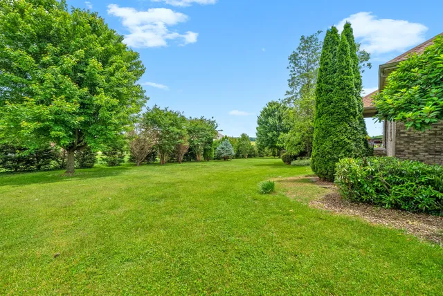 a view of a garden with a tree