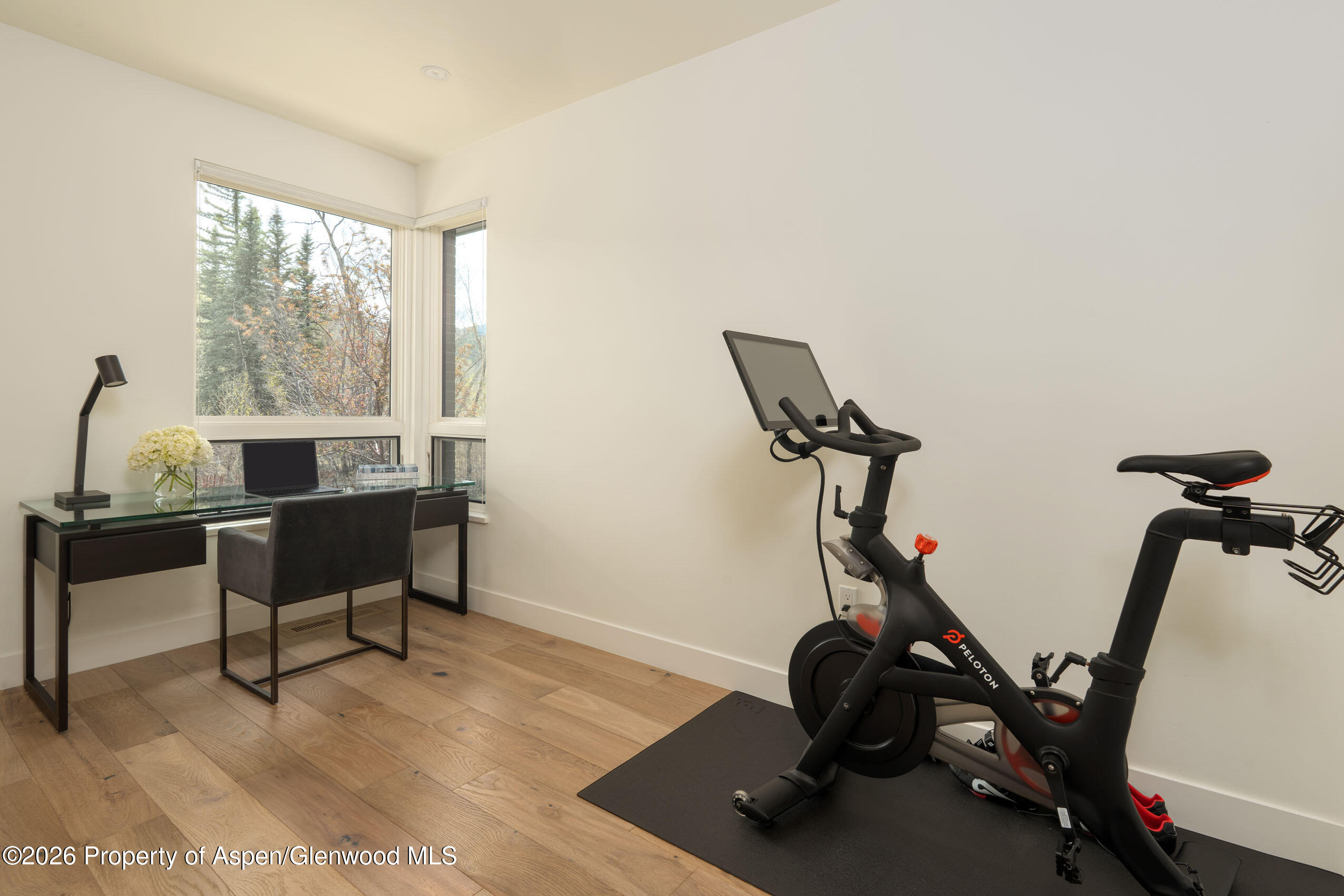 22856 Two Rivers Road Basalt, CO 81621 - Photo 29 of 40 Office/gym entry level