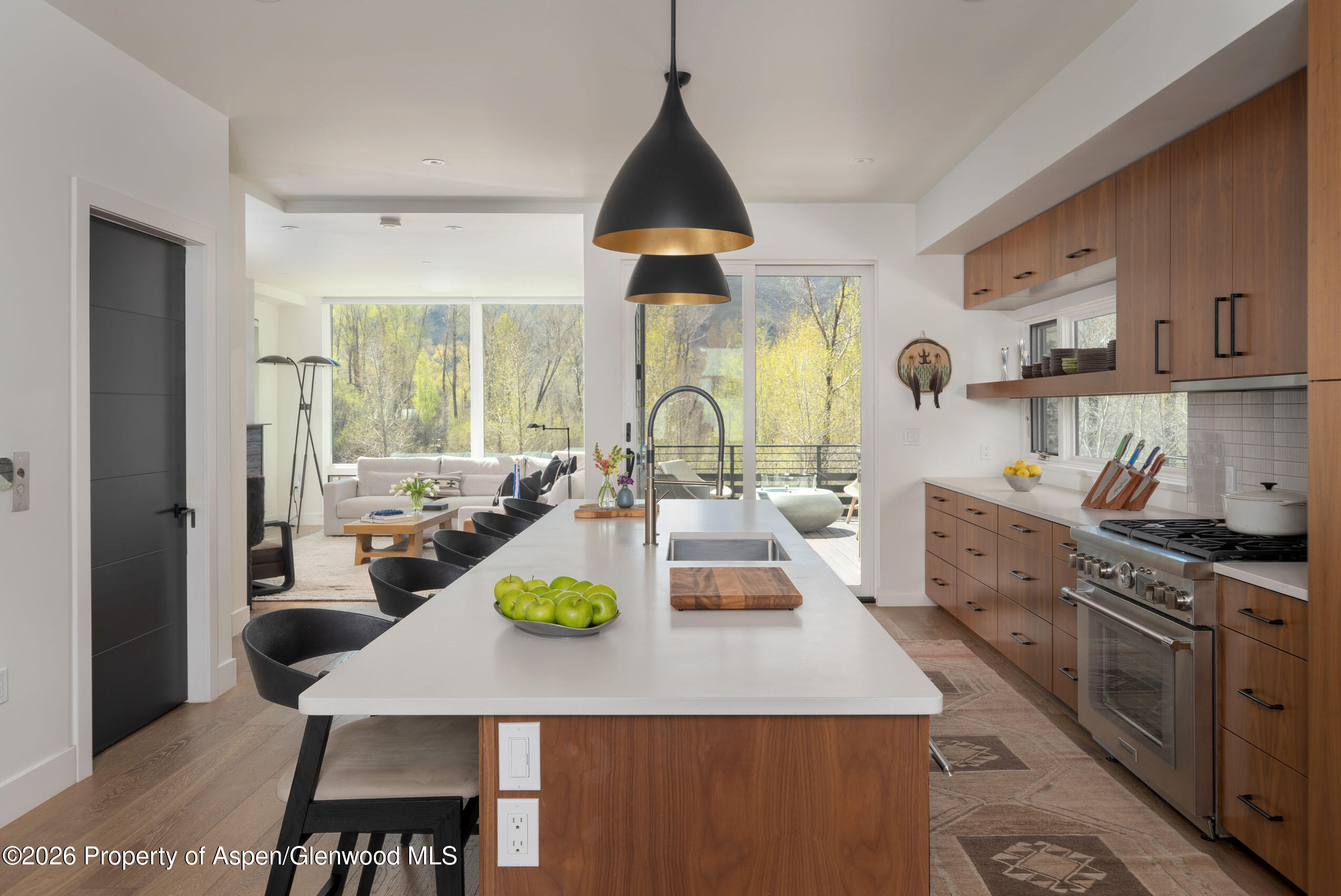 22856 Two Rivers Road Basalt, CO 81621 - Photo 7 of 40 Kitchen