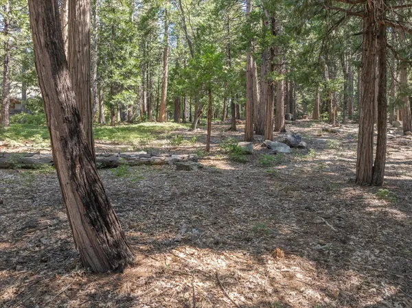 a view of outdoor space with trees