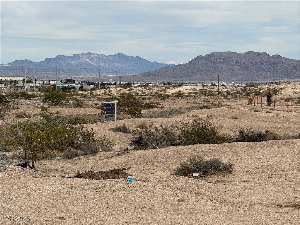 West Mayflower Avenue North Las Vegas, NV 89030 - Photo 9 of 20