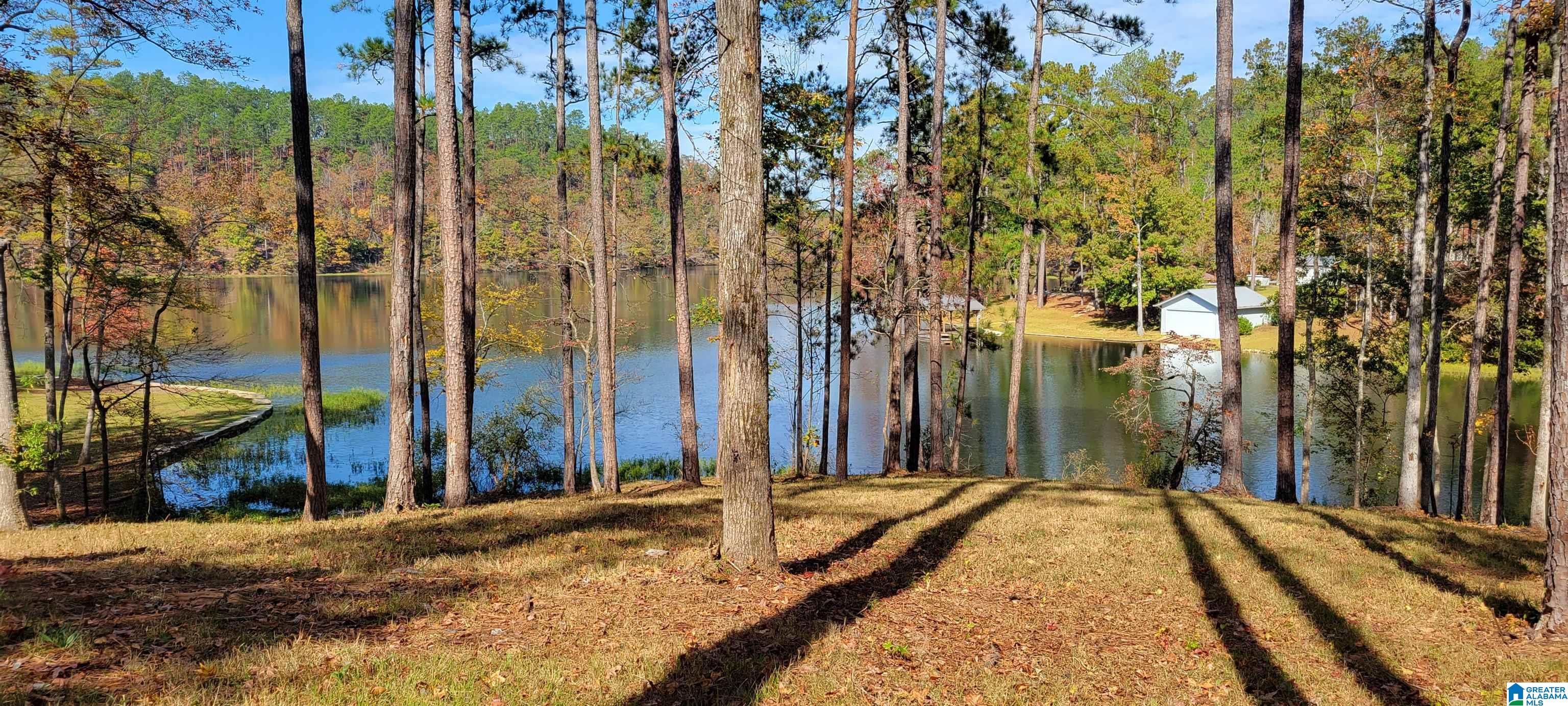 1830 Mimosa Point Road, Unit 5 Rockford, AL 35136 - Photo 16 of 25