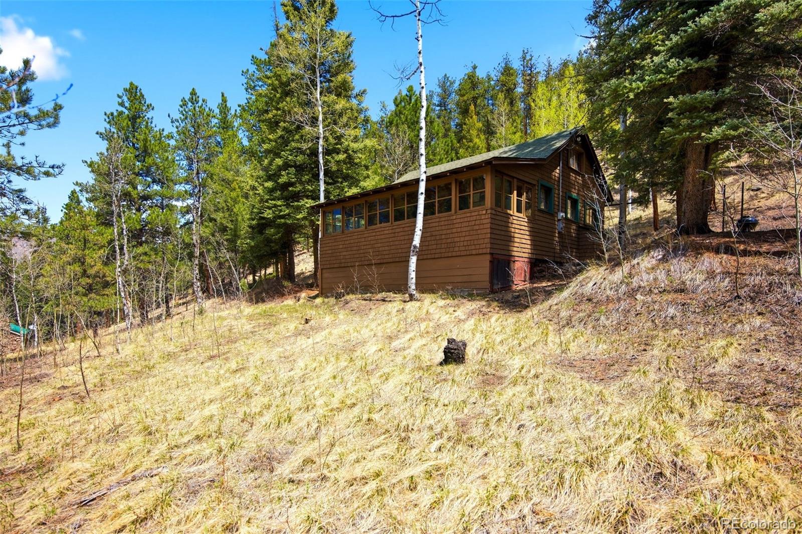 652 Payne Gulch Road Bailey, CO 80421 - Photo 29 of 33