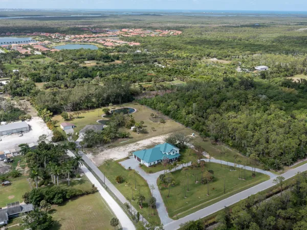 view of a forest with a yard