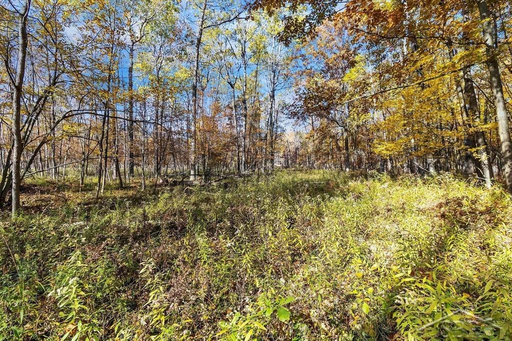 860 North Meridian Road Midland, MI 48640 - Photo 3 of 22 Gallery Image 3