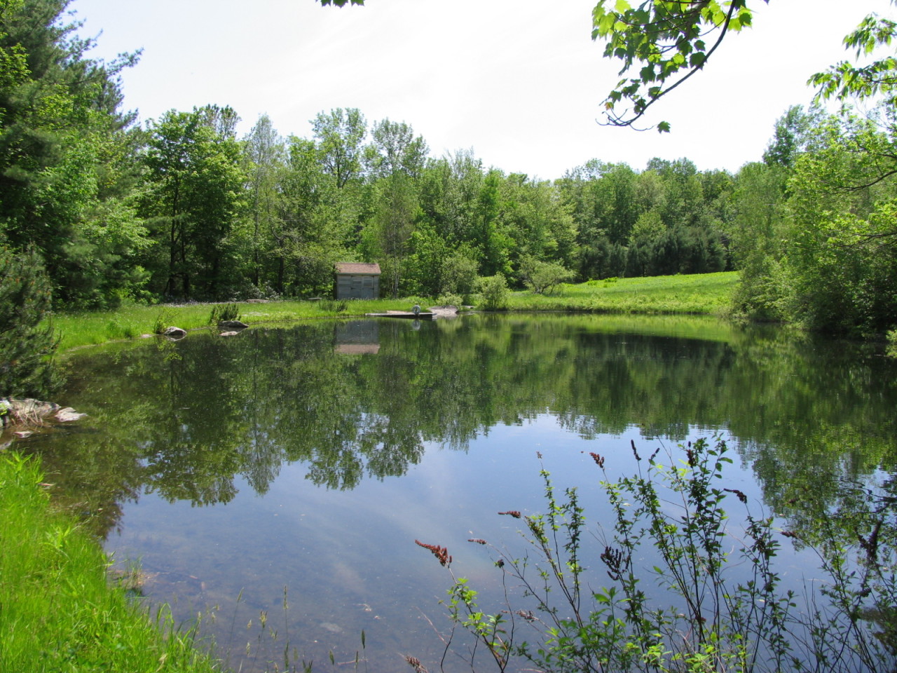 470 Ed Jones Road Otis, MA 01253 - Photo 2 of 24 a view of a lake with a yard and large trees