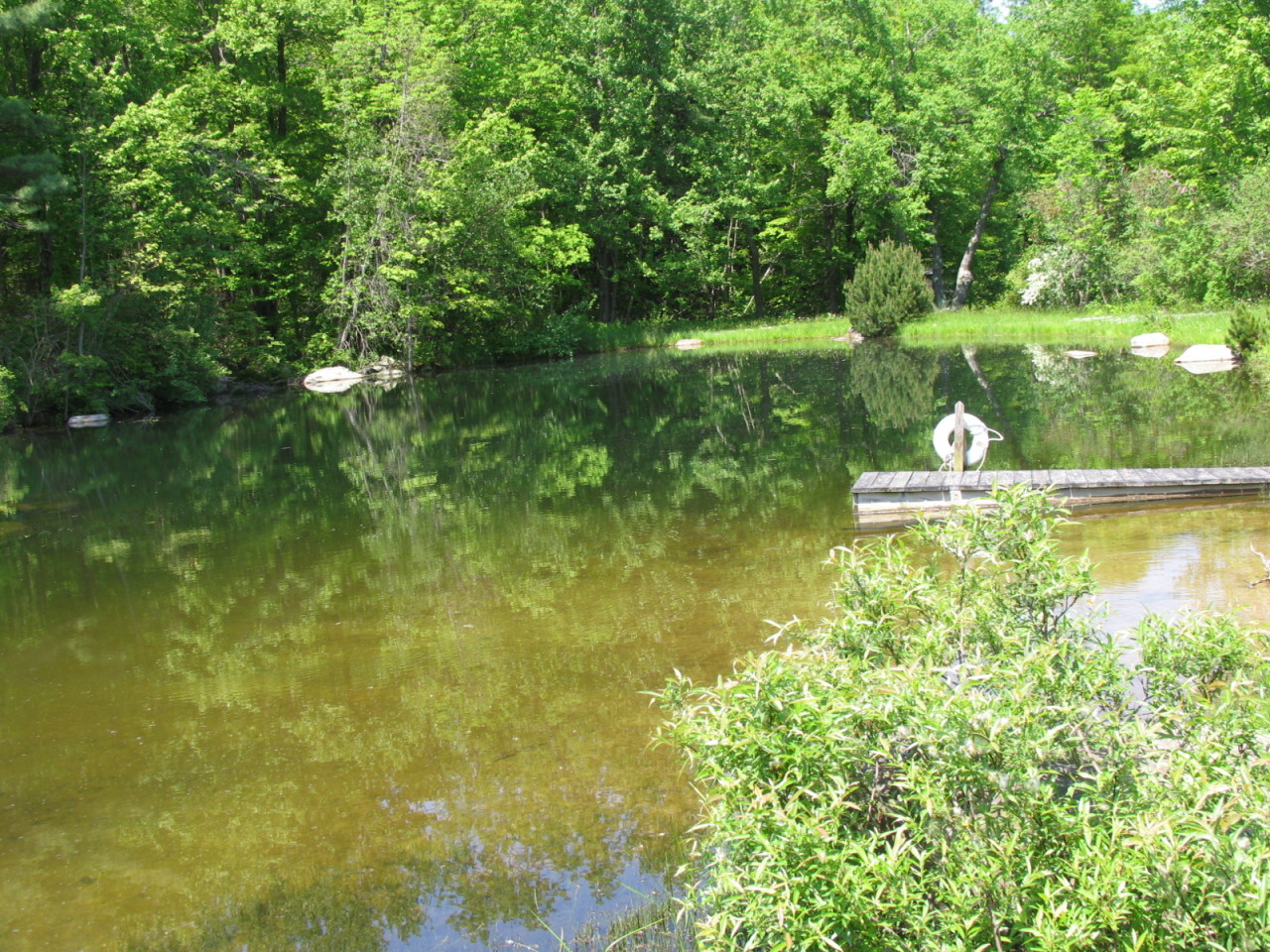 470 Ed Jones Road Otis, MA 01253 - Photo 18 of 24 a large body of water with a green space