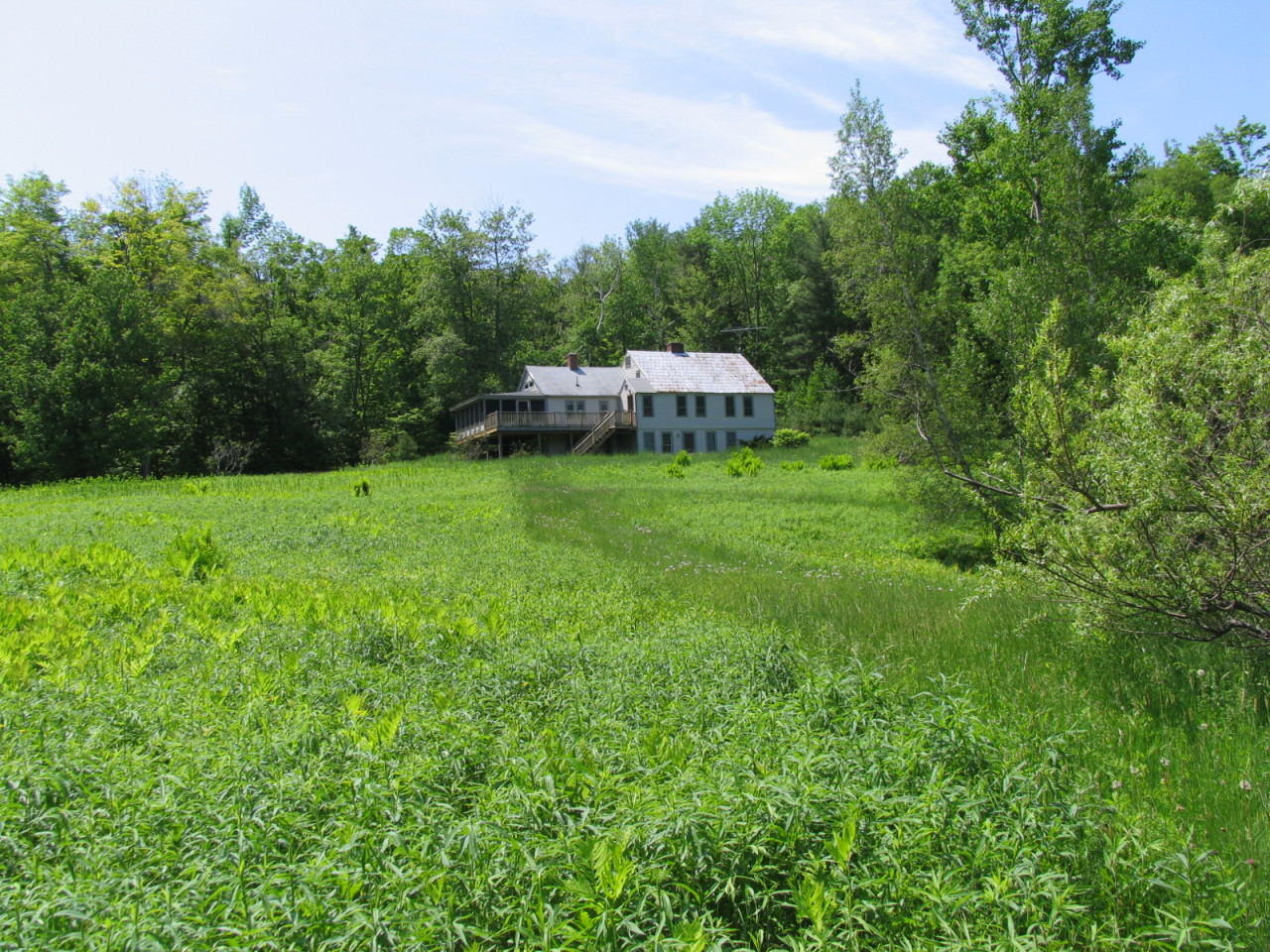 470 Ed Jones Road Otis, MA 01253 - Photo 20 of 24 a backyard of a house with a yard and trampoline