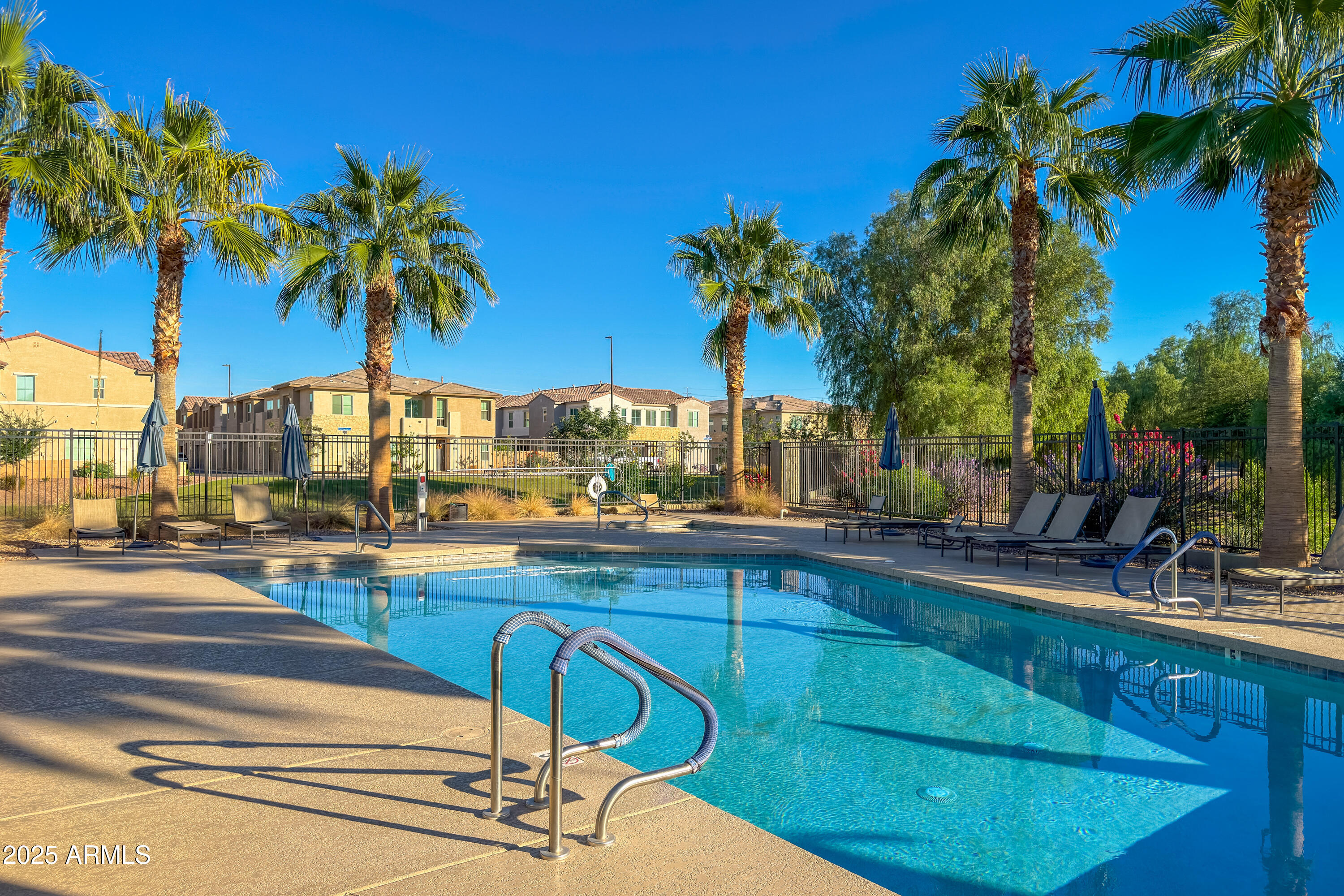 724 East Lark Street, Unit 102 Gilbert, AZ 85297 - Photo 9 of 54 a view of a swimming pool with a lawn chairs under palm trees