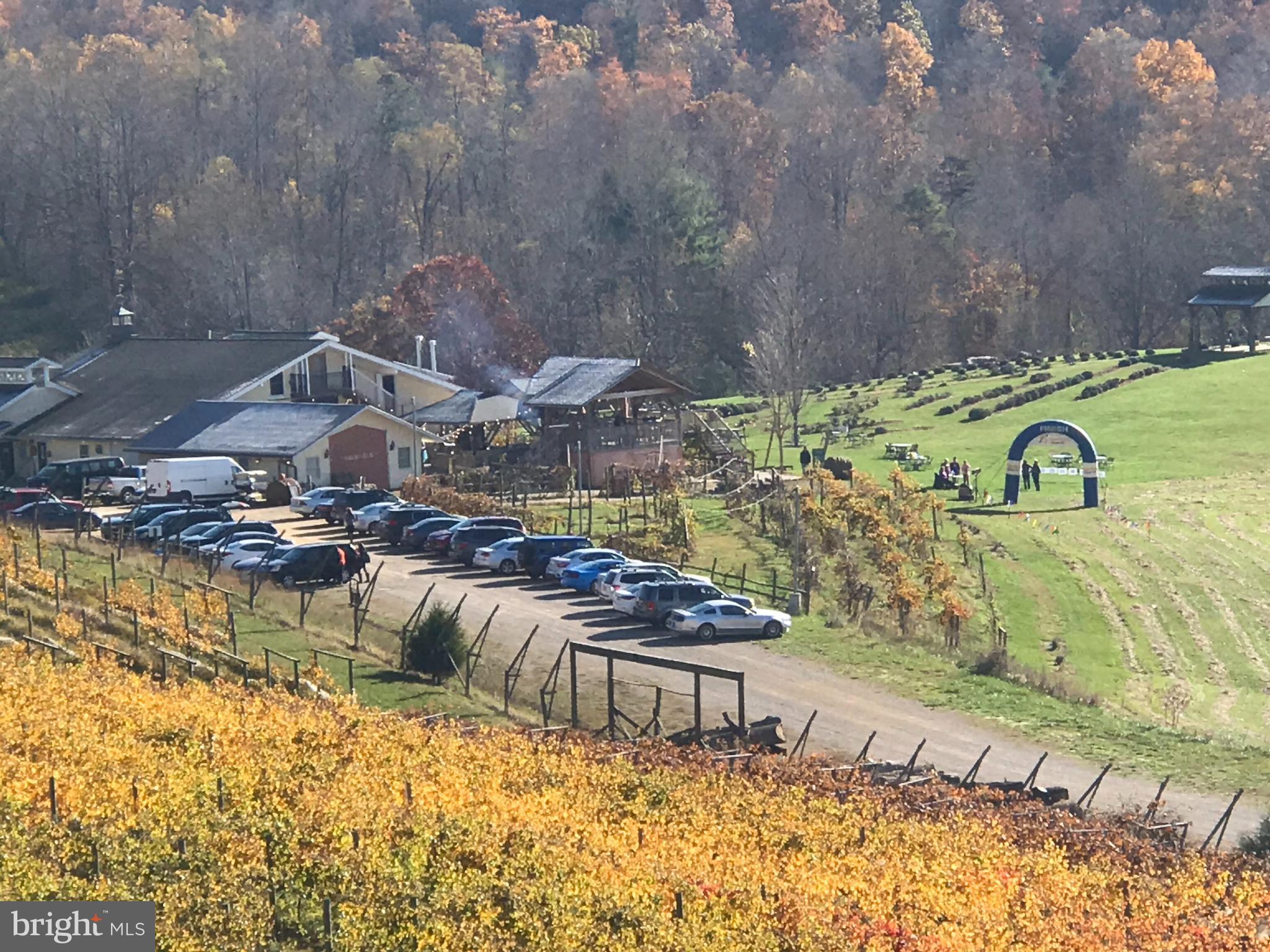 3899 Eakin Farm Road Blacksburg, VA 24060 - Photo 19 of 34