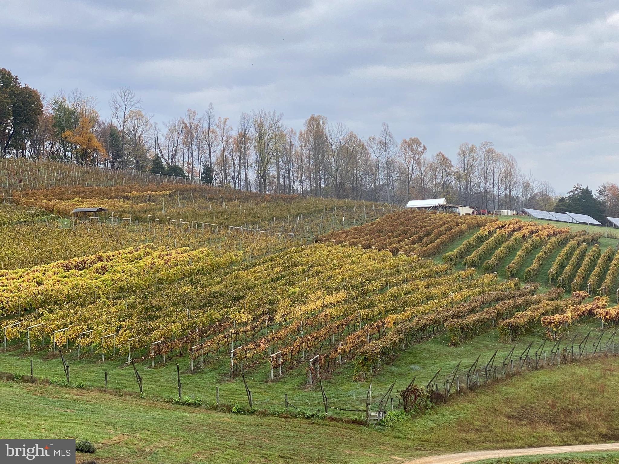 3899 Eakin Farm Road Blacksburg, VA 24060 - Photo 20 of 34