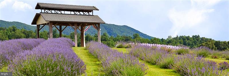 3899 Eakin Farm Road Blacksburg, VA 24060 - Photo 3 of 34 Lavender Gardens