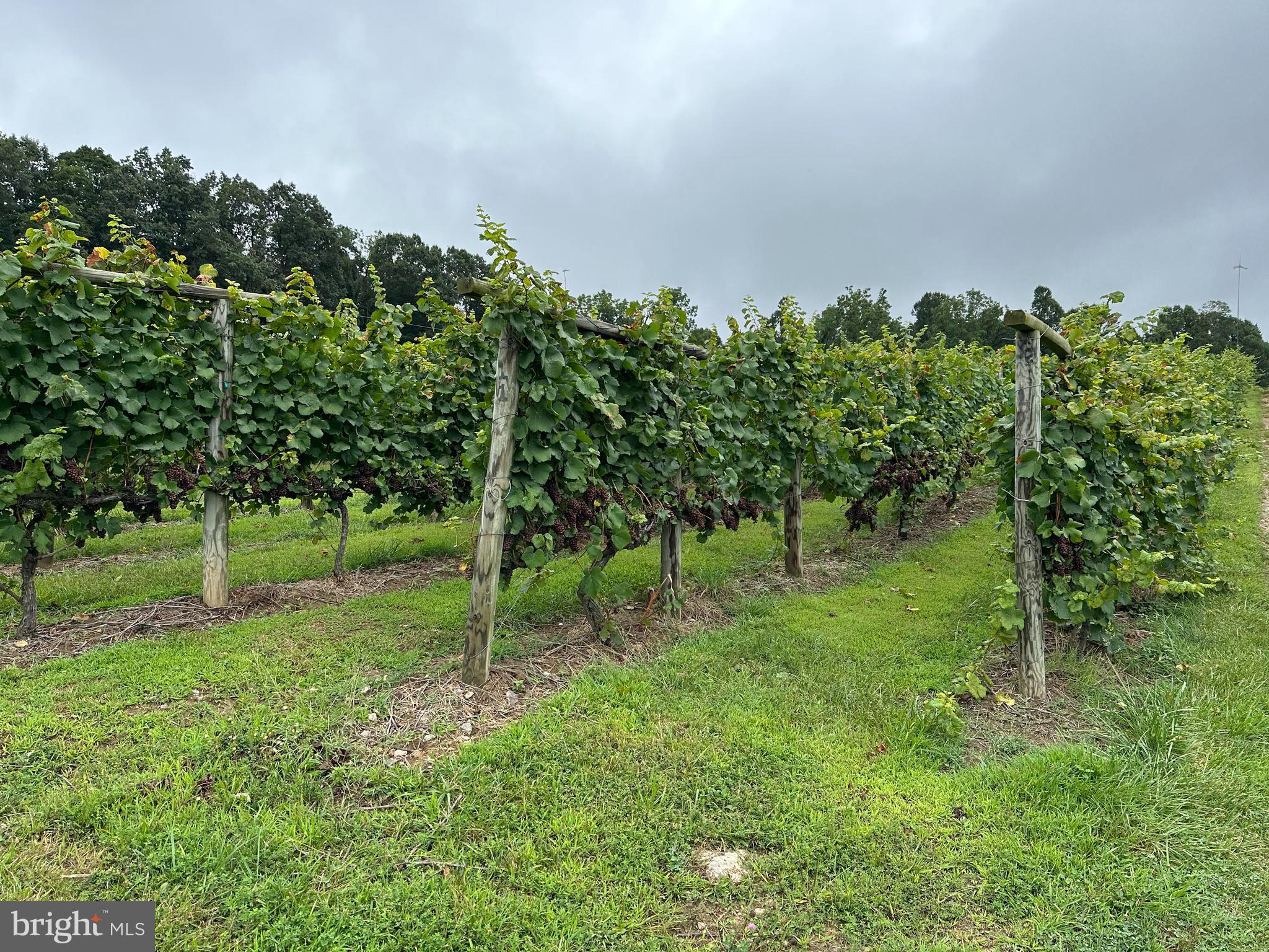 3899 Eakin Farm Road Blacksburg, VA 24060 - Photo 6 of 34