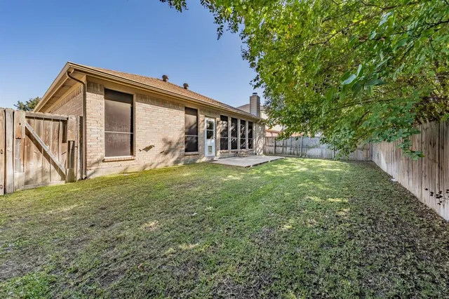 a view of a backyard with plants and large tree