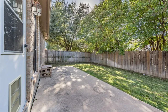 a view of backyard with tree