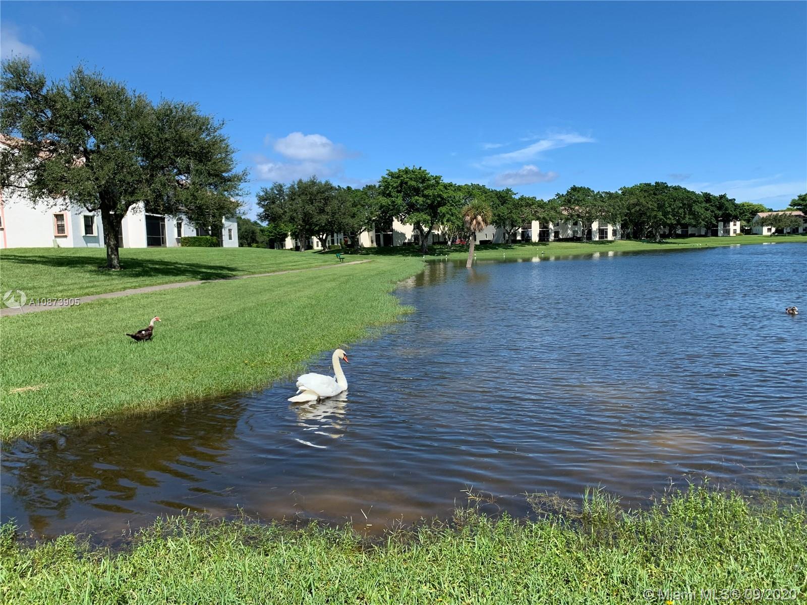 492 Hardwood Place, Unit 492 Boca Raton, FL 33431 - Photo 19 of 21 a view of a lake with a yard