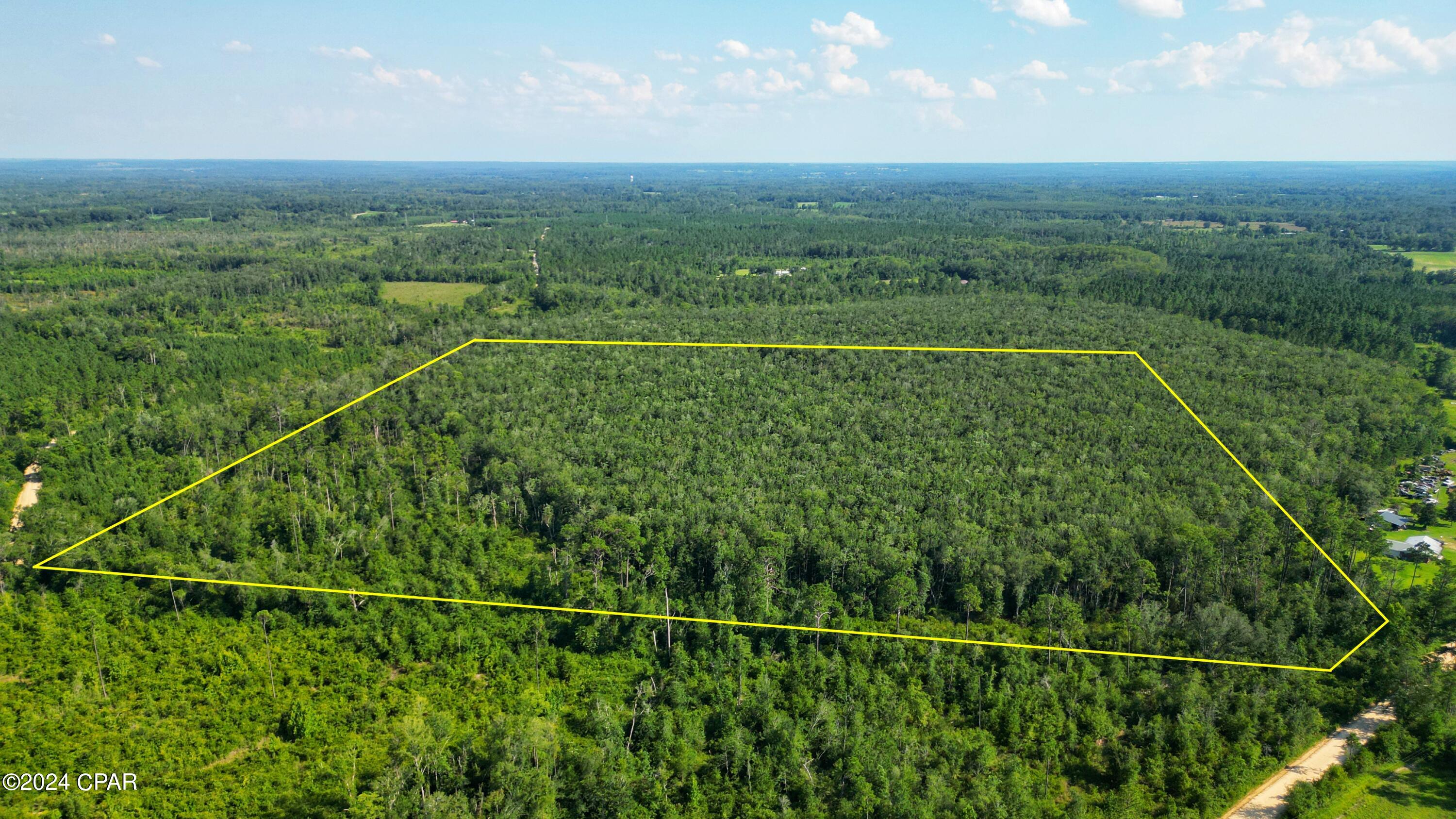 0 Dilmore Road Cottondale, FL 32431 - Photo 6 of 9