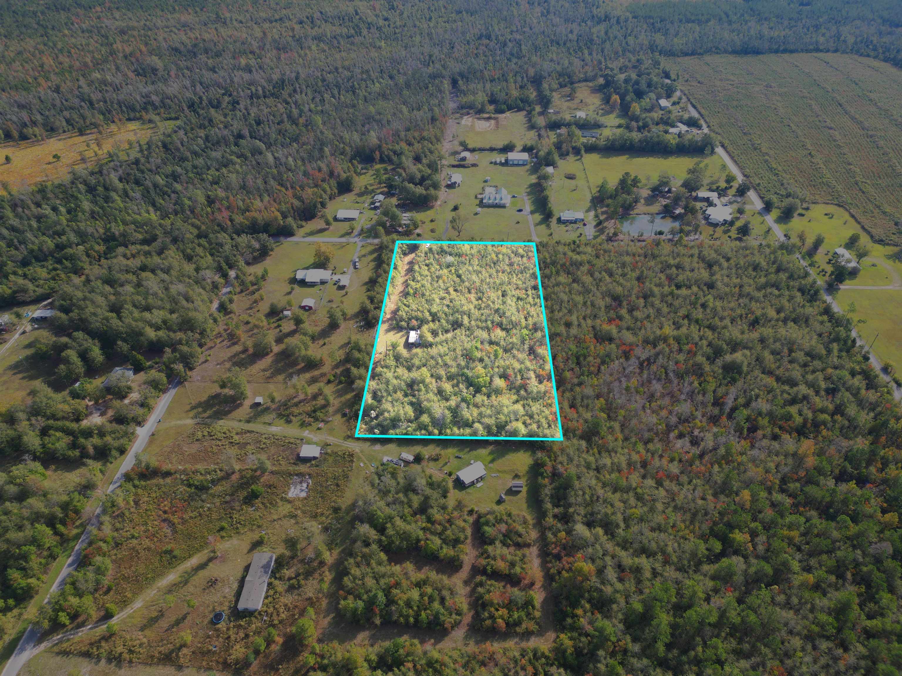 Tbd Northeast Luke Holland Road Altha, FL 32421 - Photo 3 of 12 Gallery Image 3