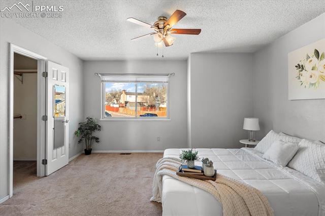 425 Blossom Field Road Fountain, CO 80817 - Photo 20 of 28