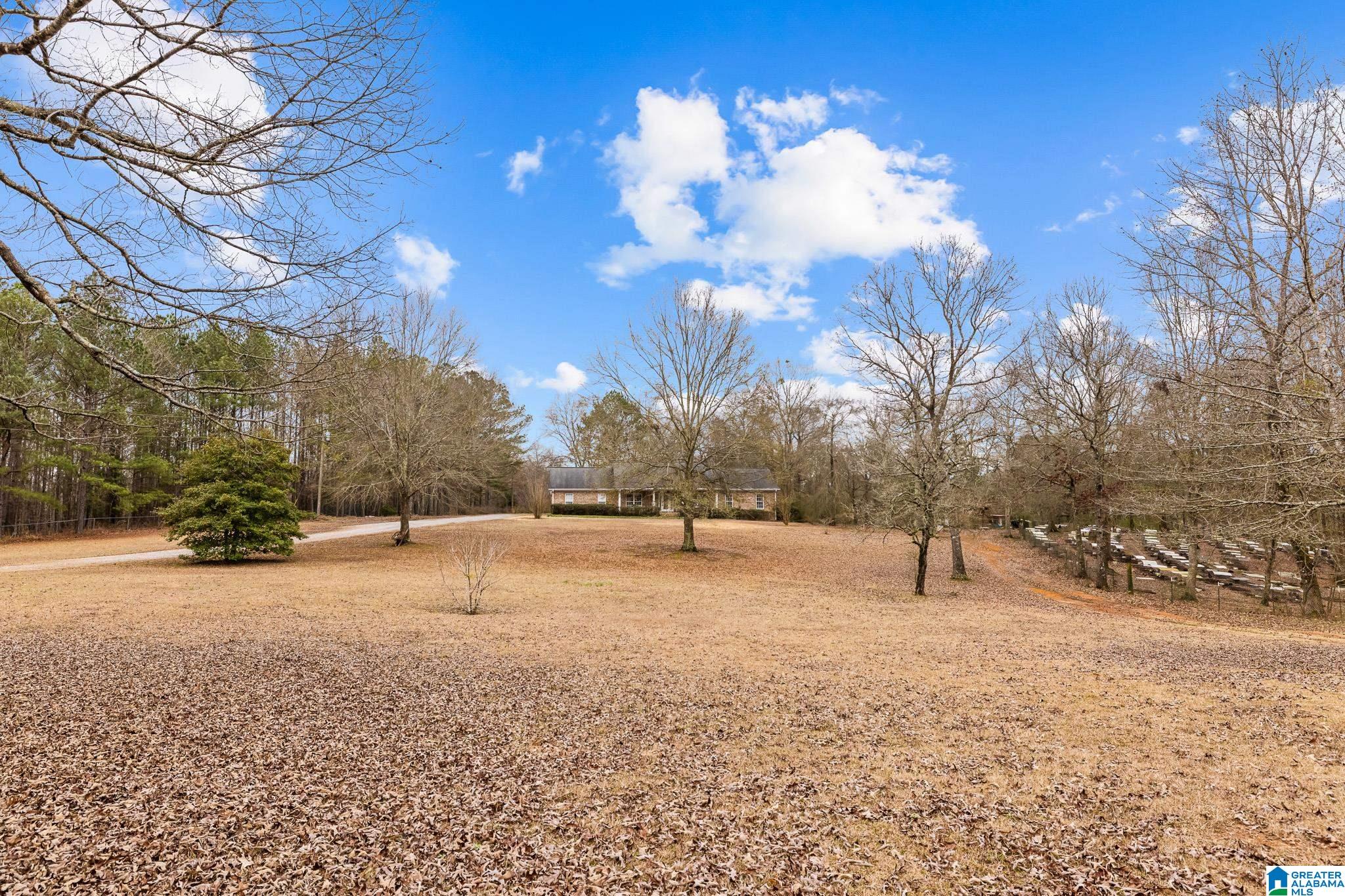 814 Deer Trace Road Pell City, AL 35125 - Photo 39 of 40