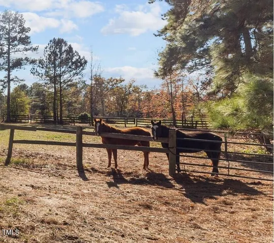 a view of road with large trees