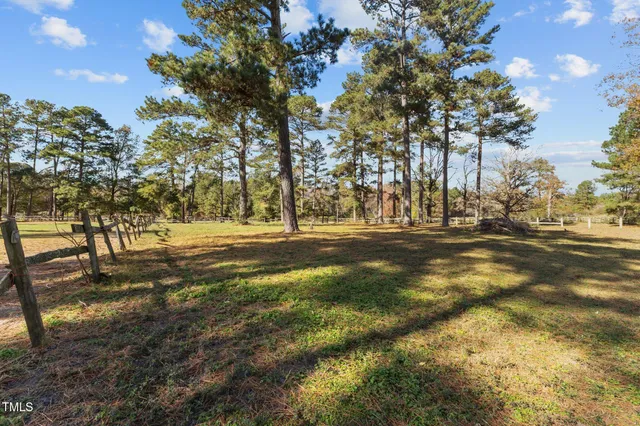 a view of dirt yard with green space