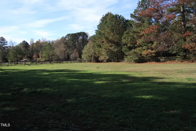 a big grassy field with trees in the background