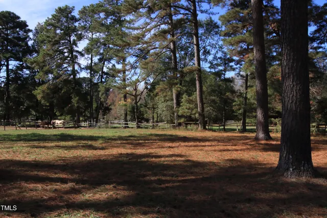 a yard with lots of green space and trees