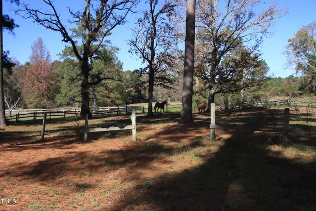 a view of a yard with wooden fence