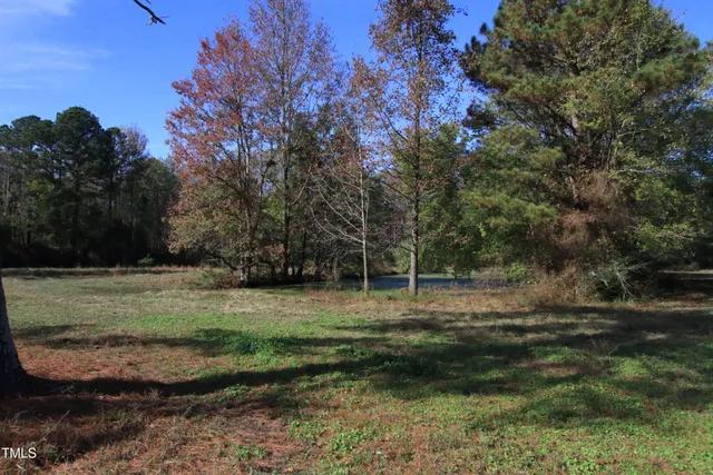 a view of dirt field with trees
