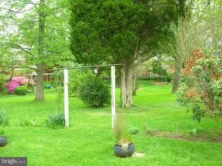 a backyard of a house with plants and large trees