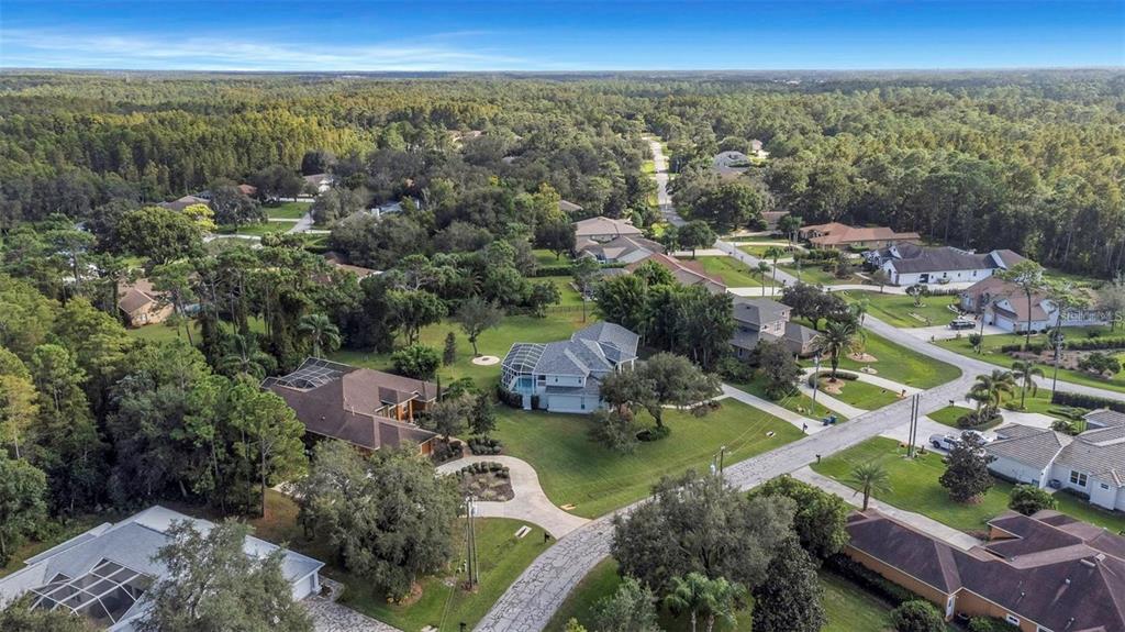 5250 Macoso Court New Port Richey, FL 34655 - Photo 9 of 54