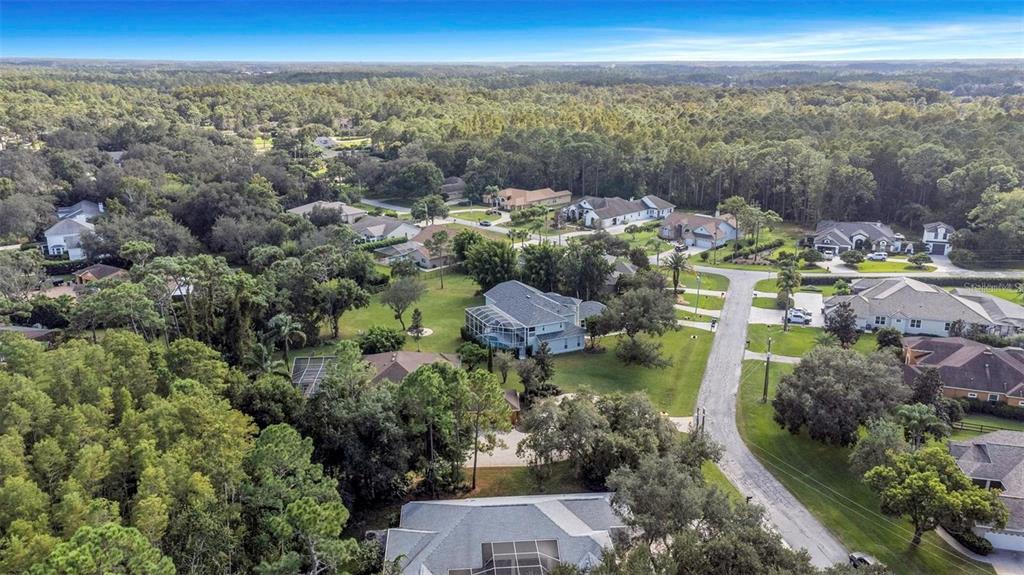 5250 Macoso Court New Port Richey, FL 34655 - Photo 10 of 54