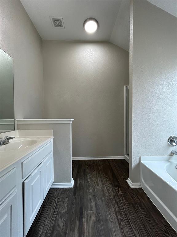 1249 Round Pen Run Fort Worth, TX 76052 - Photo 12 of 28 a bathroom with a sink and a mirror