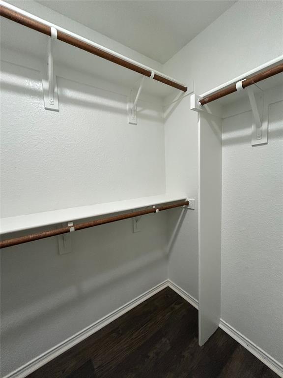 1249 Round Pen Run Fort Worth, TX 76052 - Photo 21 of 28 a close view of closet