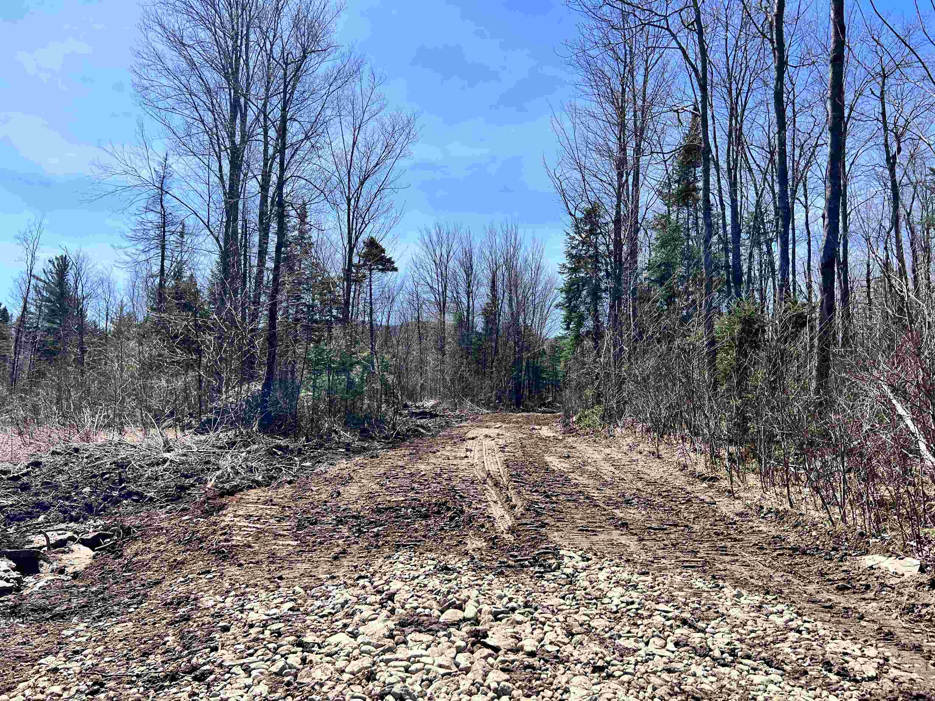 Lot 7 Steiss Road Milan, NH 03588 - Photo 3 of 8