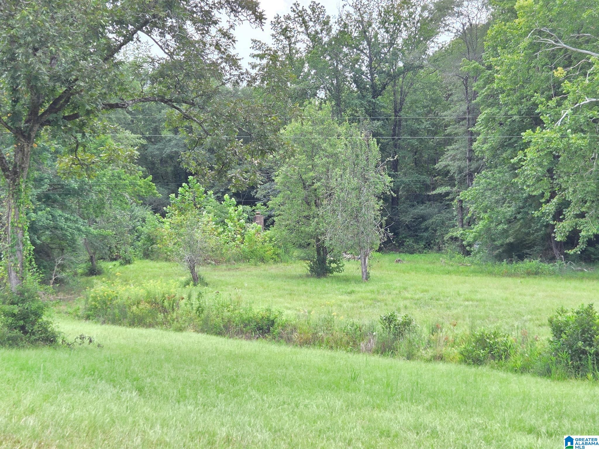 317 Rockyview Road West Blocton, AL 35184 - Photo 4 of 5
