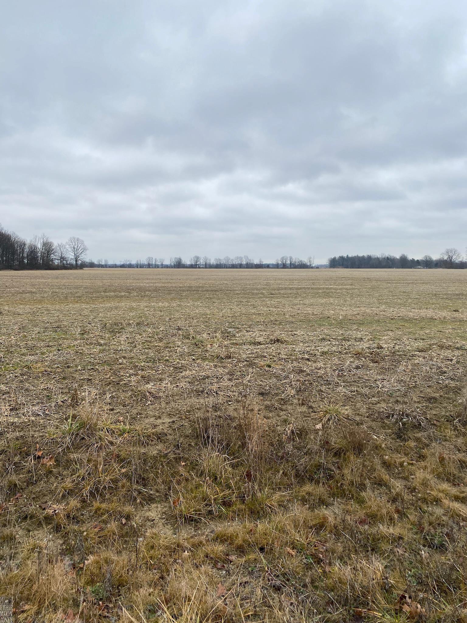 Weber Road Columbus, MI 48063 - Photo 3 of 3