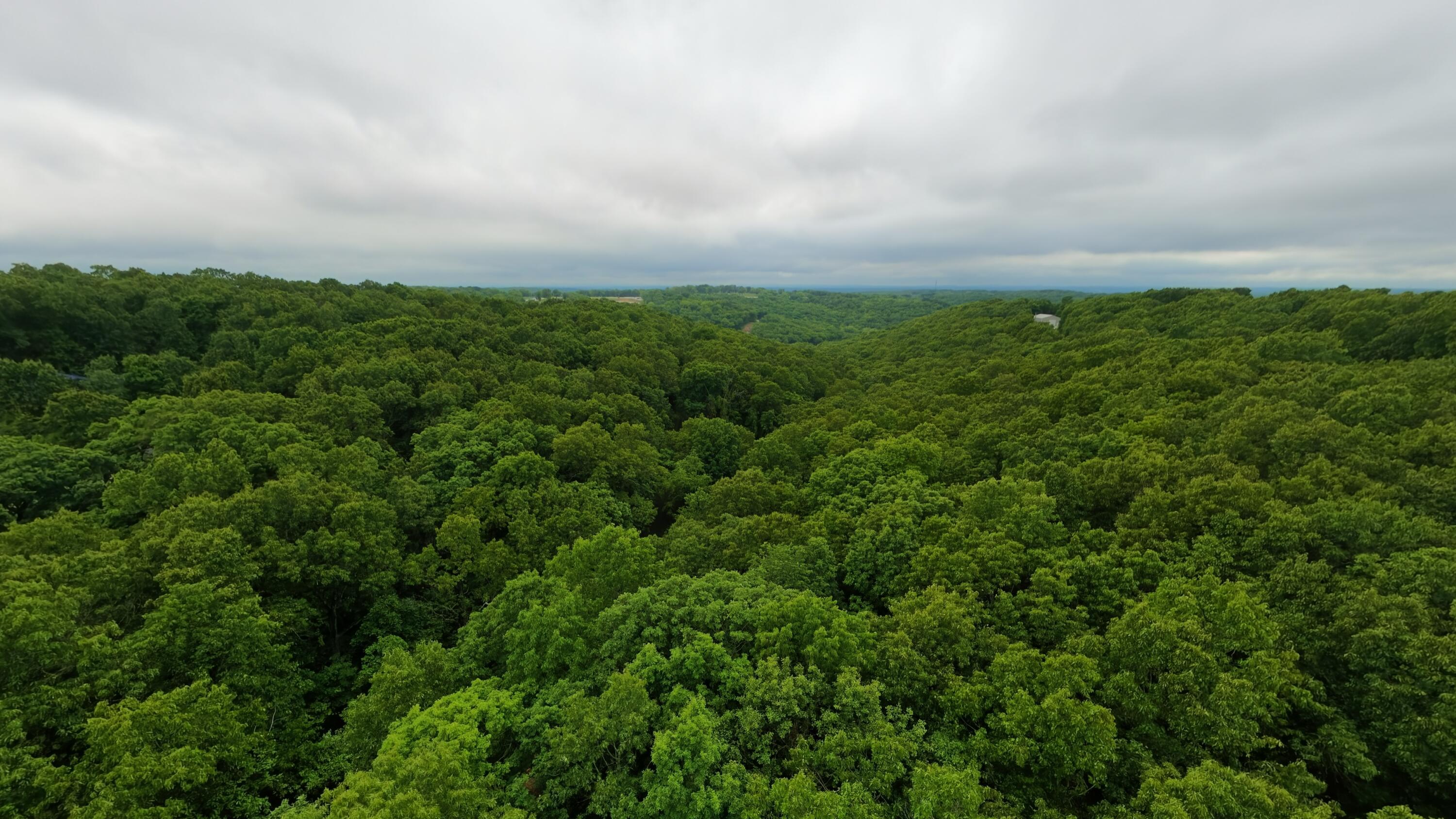 Tbd Devil's Pool Road Ridgedale, MO 65739 - Photo 3 of 19 1.6 acres001