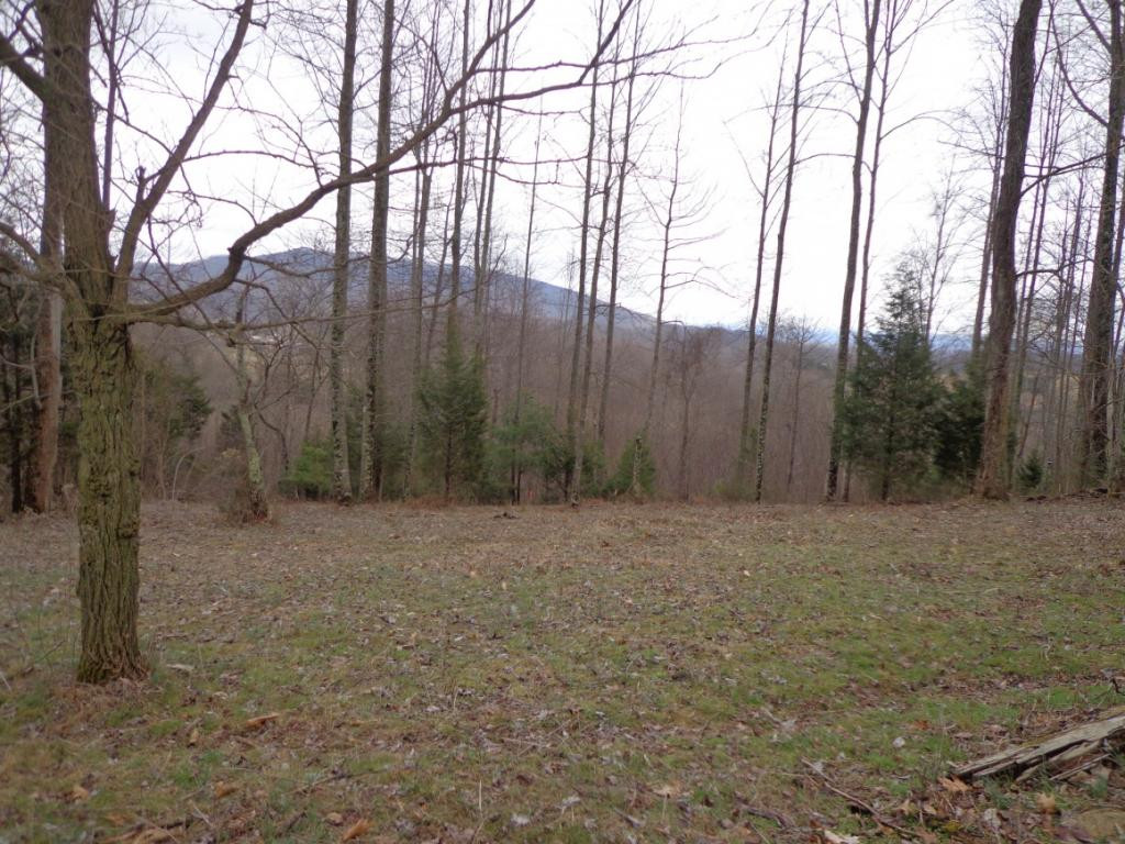 Lot 1 Slagle Road Watauga, TN 37694 - Photo 1 of 5 Photo 1