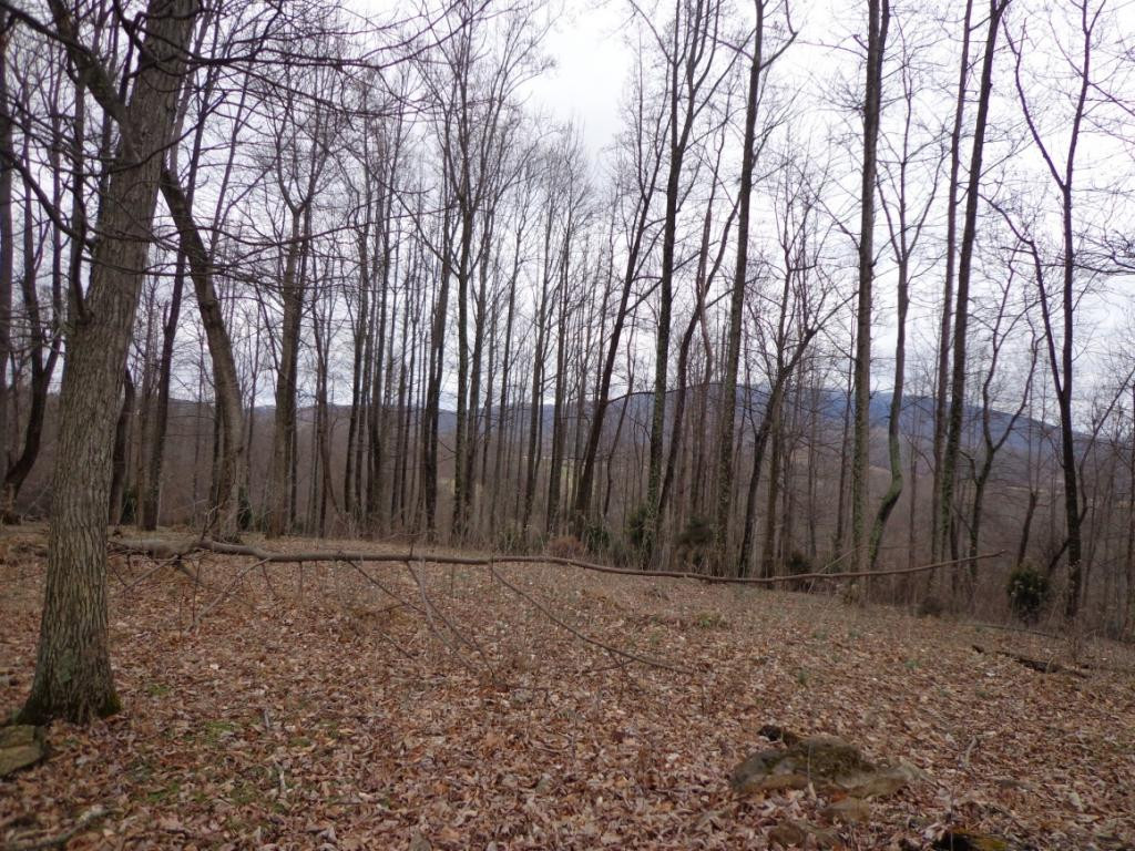 Lot 1 Slagle Road Watauga, TN 37694 - Photo 3 of 5 Photo 3