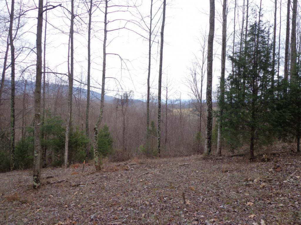 Lot 1 Slagle Road Watauga, TN 37694 - Photo 5 of 5 Photo 5