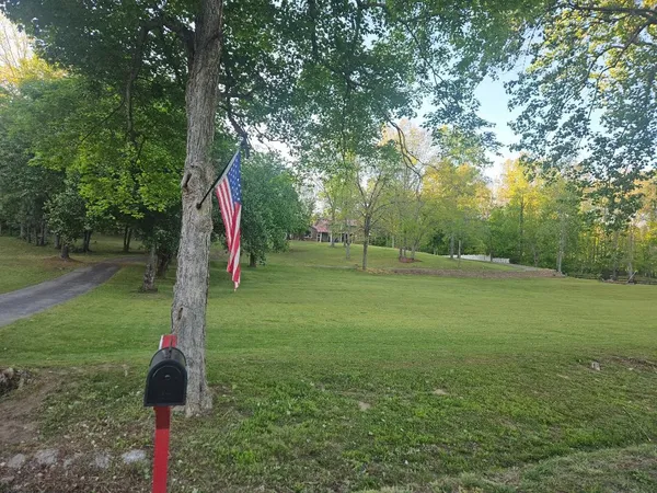 a view of a park with large trees