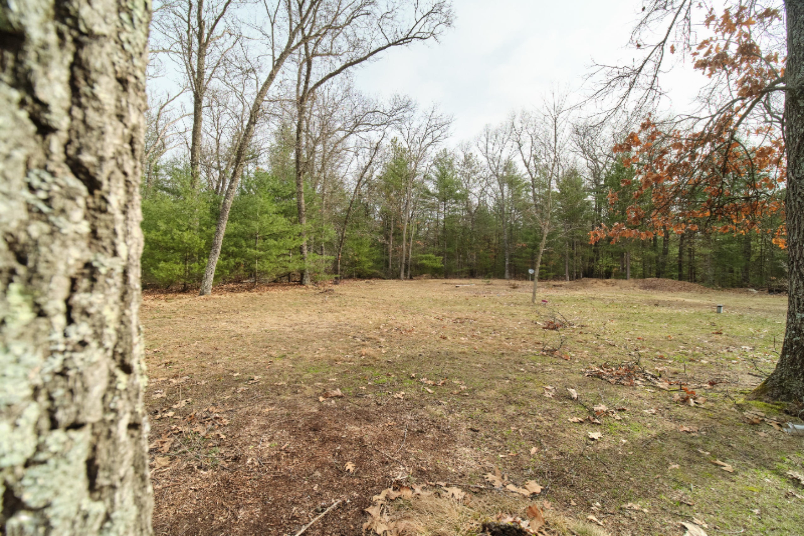 2230 Raymond Road Twin Lake, MI 49457 - Photo 45 of 47 Beautiful Wooded Property