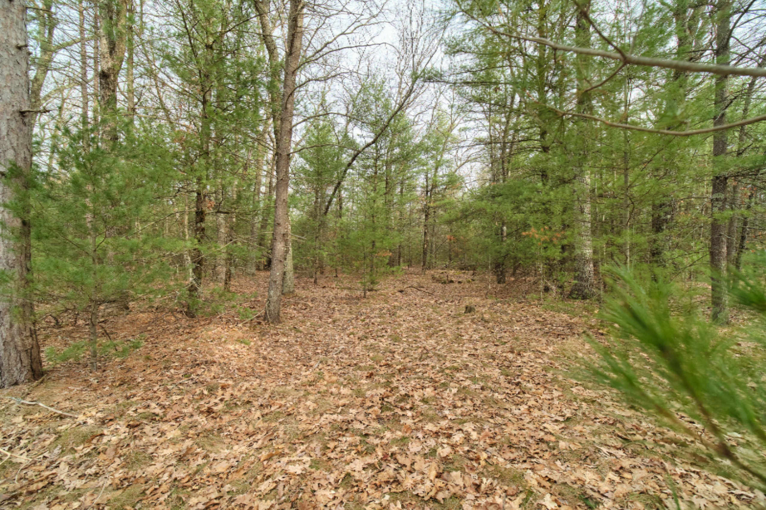 2230 Raymond Road Twin Lake, MI 49457 - Photo 46 of 47 Beautiful Wooded Property