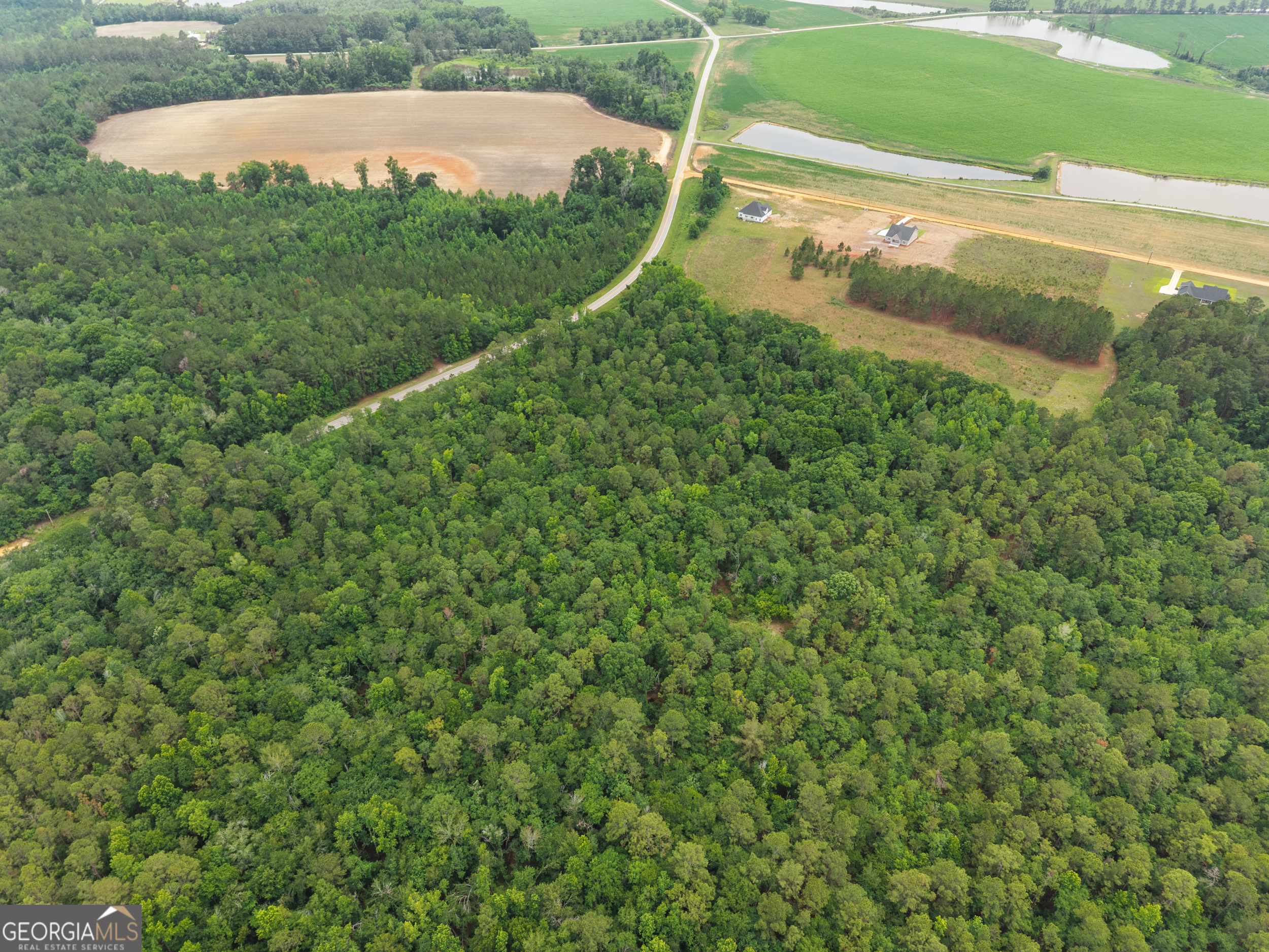 3167 Jason Franklin Road Register, GA 30452 - Photo 42 of 50