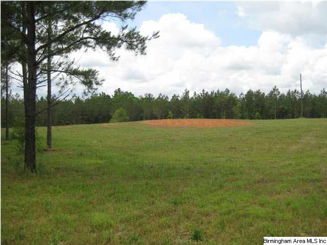 Griffin Road, Unit C Chelsea, AL 35043 - Photo 1 of 8